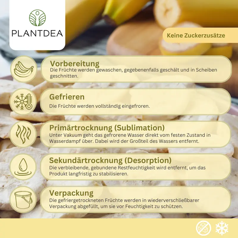 Gefriergetrocknete Bananenscheiben I 400g I 100% Frucht I Ohne Zuckerzusatz I Vegan & Glutenfrei I Knuspriger Snack & Topping I Freeze-dried banana slices I Gefriergetrocknete Bananen | PlantDEA - Image 4